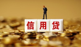东莞15哪有个人借贷-东莞15小额贷款公司-东莞15私借空放免费上门